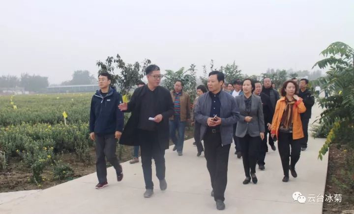 云臺(tái)冰菊基地發(fā)生了什么？一批批領(lǐng)導(dǎo)專家團(tuán)隊(duì)前來(lái)！