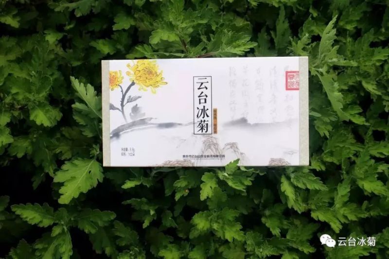 存一夏炙熱，耀一秋豐收！