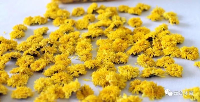 2018，種下希望，靜待花開！